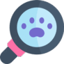 search-icon